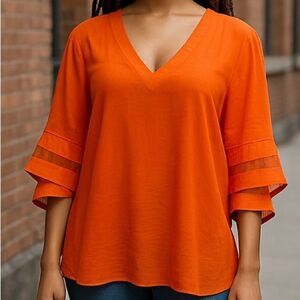 Shy Velvet Popover Sheer V Neck Bell Sleeve Blouse Size Large